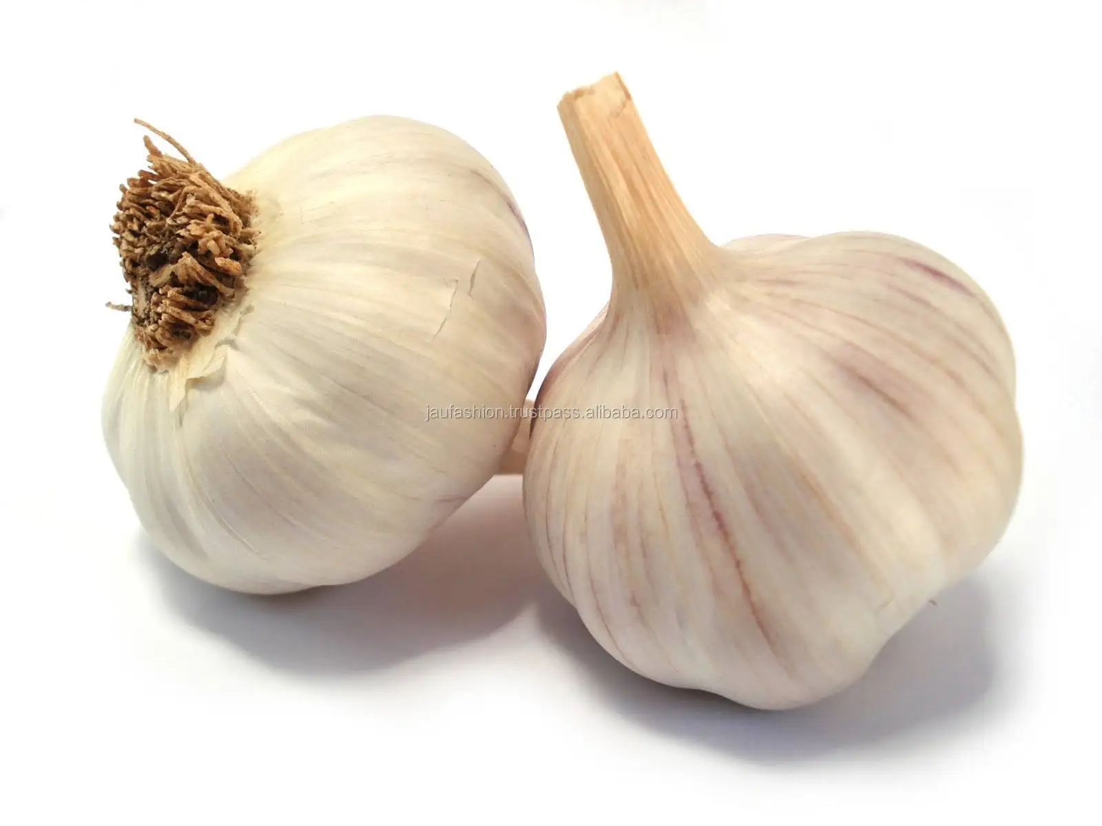 Garlic.jpeg