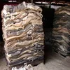 Dry And Wet Salted Donkey/Wet Salted Cow Hides /Cow Head Skin Sale .