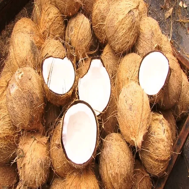 成熟椰子/500 克