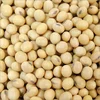 DRIED RAW SOYBEANS/ SPLIT PEELED SOYBEANS