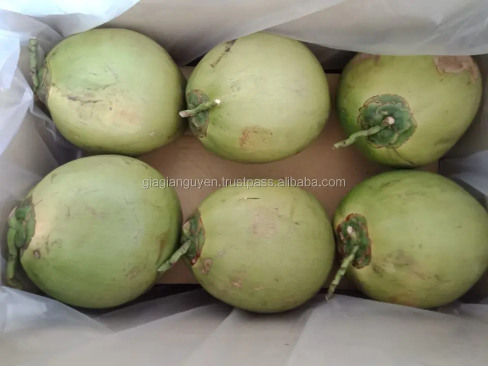 Fresh Young Coconut /green Coconut Origin Vietnam Tel+84907 377 828 ( Viber/ Whatsapp/zalo