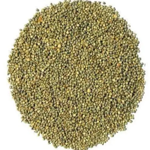 
Green Millet | Bajra Low price 