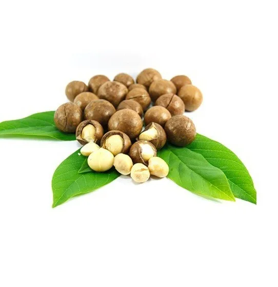 Vietnam Macadamia Nuts,Roasted Macadamia Nuts( Phoebe