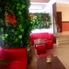 Completed project - Artificial landscaping - green walls - Hotel Cantilena, Nessebar, 2019