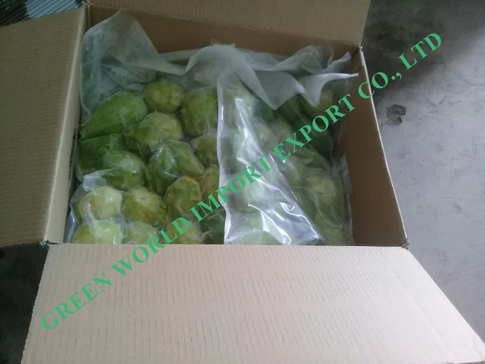 
NATURAL FROZEN AVOCADO - CHEAPEST PRICE 
