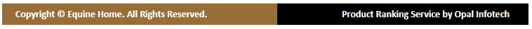 footer.png
