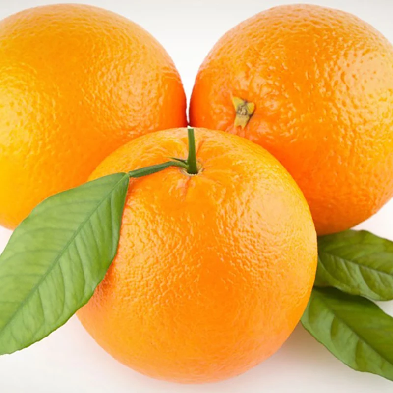 tangerine mandarin orange