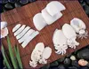 Frozen Cuttlefish