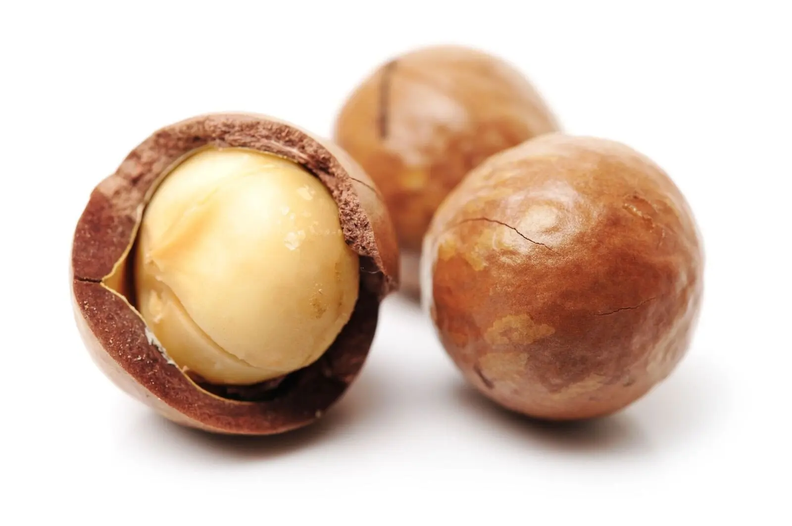 Macadamia Nuts.jpg
