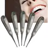 Professional Dentist Dental Orthodontic Root Elevators Stainless Steel Dental Instruments