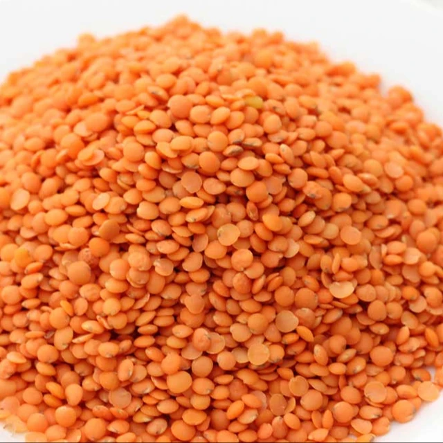 organic split red lentils (masoor dal)