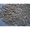 High Quality Healthy and Safe Natural Dried White Pea Bean Oem Available