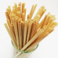 

Sorbete Biodegradable Ecological Natural Organic Wheat Straw
