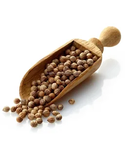 best quality coriander seed
