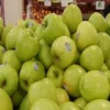 Fresh Green Golden Delicious Apples
