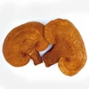 Herbal Extract Organic Dried Red Reishi Ganoderma Slice