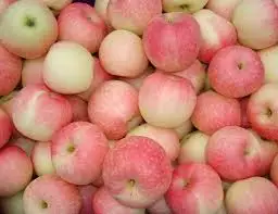 
hot selling good quality red fresh gala apples for wholesale 