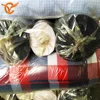 100% Cotton Women Essential Solid Shirt Cloth Stock Lots