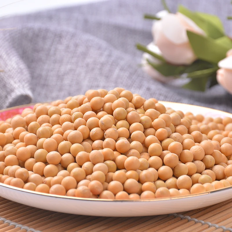 
Canada Wholesale Dried Yellow Soybean Soya Seeds 