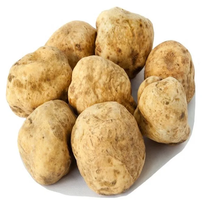 White truffle. Белый трюфель (Tuber magnatum Pico).. Тосканский трюфель. Белый Тосканский трюфель. Домбалан трюфель.