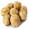 /product-detail/white-truffles-italy-62006160968.html