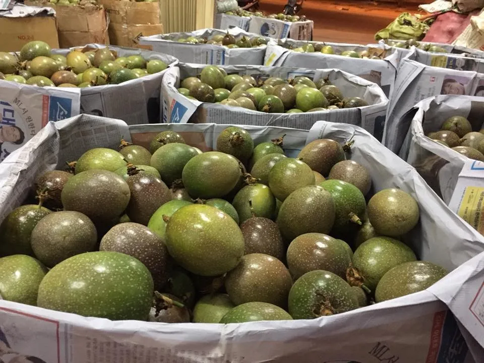 Best Seller 100 Natural Fresh Passion Fruit / Frozen Passion Fruit