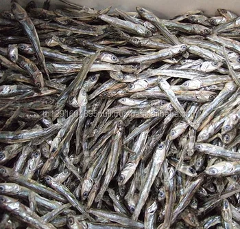 dried, frozen, salted anchovy fish