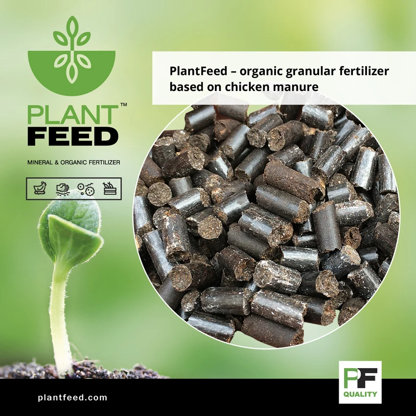 Granulated Organic Fertilizer Based On Chicken Manurehighly Effective Dry Fertilizerpellets Buy Organic Chicken Manure Pellets Fertilizerchicken