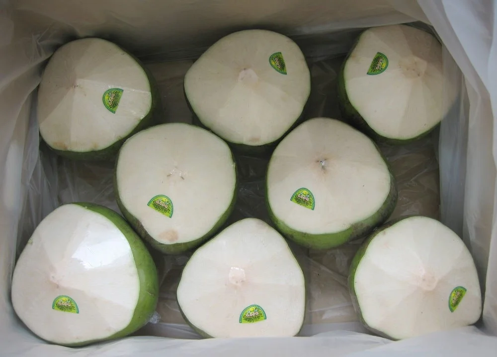 Organic Fresh Coconut From Vietnam Land Of Coconut Buy Cheap Fresh Coconutsfresh Coconuts For 7185