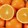 Fresh Oranges _ Navel Orange _ Valencia Orange