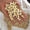 HEALTHY LOTUS FLOWER SEEDS FROM VIETNAM