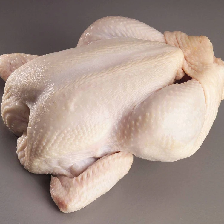 500 Ton Halal Beku Utuh Ayam Beku Ayam Paws Brazil