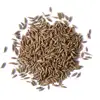 Low Price Widely Used Delicious Cumin Seed Available for Export Purchase
