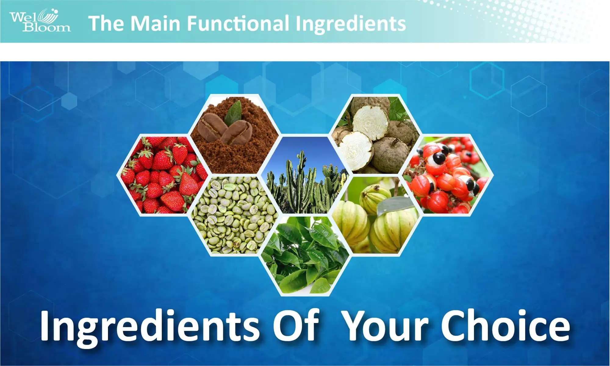 Products Weight Loss Fat Burning Dietary Supplement