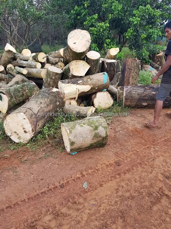 Rubber Wood Log Low Price Rubber Wood Buy Rubber,Teak Wood Log Price