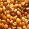 /product-detail/quality-grade-1-yellow-corn-white-corn-maize-for-human-animal-feed-for-sale-50036509167.html