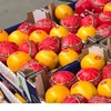 In need for top quality in comfortable price , sure you ask for Orange from Egypt