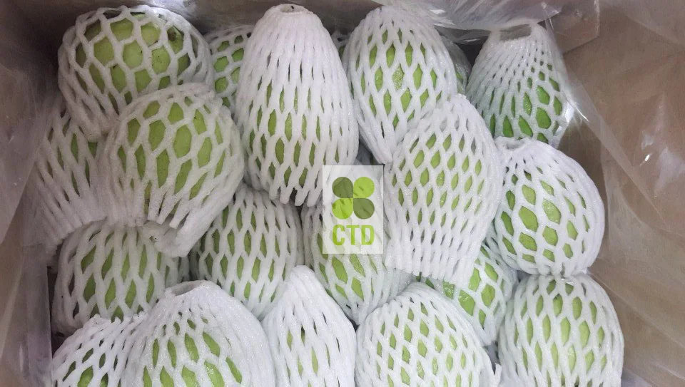 Guava_CTD Int (9).jpg