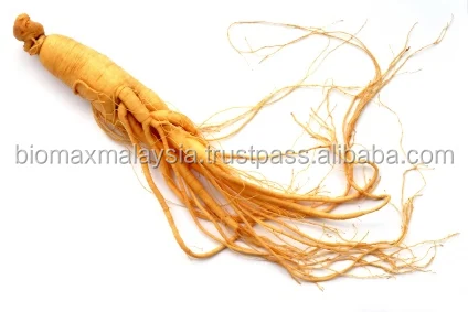 
Malaysia Men Energy Candy 