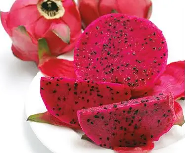 Dragon Fruit In Season Red White Pitaya Dragon Fruit Vietnam Product Buy Fruits Color Red Pitaya Good Price Dragon Fruit Product On Alibaba Com