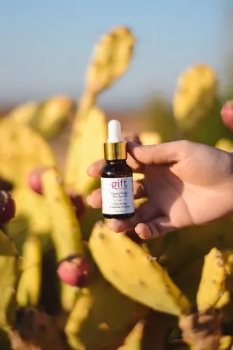 best prickly pear oil.jpg