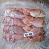 150-350g size fresh high quality frozen red snapper sea bream fish whole round for sale