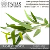 Eucalyptus Oil Radiata , Pure Natural at bulk wholesale price