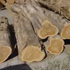 Timber wood, kosso, spruce, pine, tali, iroko, sapele, rose wood, Bubinga logs