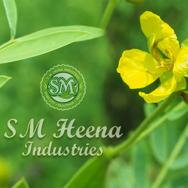100% pure & high quality senna leaves - organic l cassia