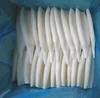 Frozen Giant Squid, Lolligo Squid Whole Round Seafoods Fish Products