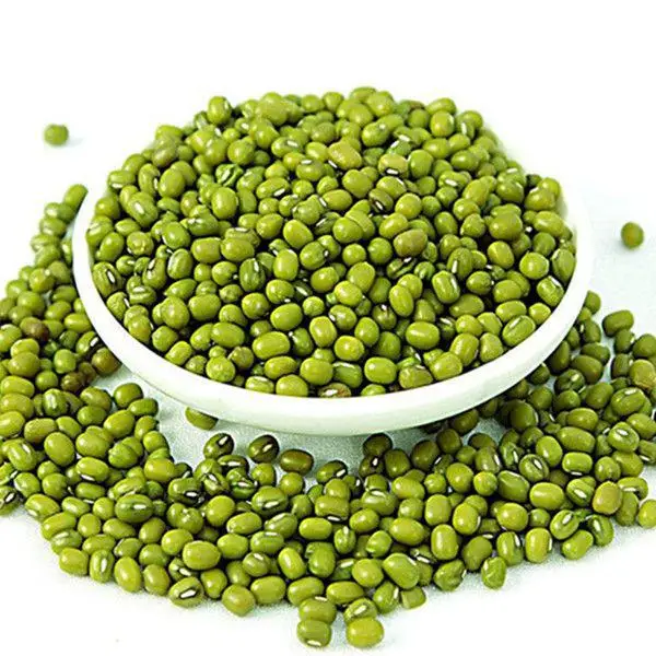 
high quality Uzbekistan green mung beans organic mung beans 