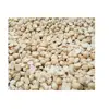 Top Quality Macadamia Kernel Style 3 from Australia