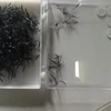 0.07mm Thickness volume lashes Heated Pre made Fan Volume Eyelash