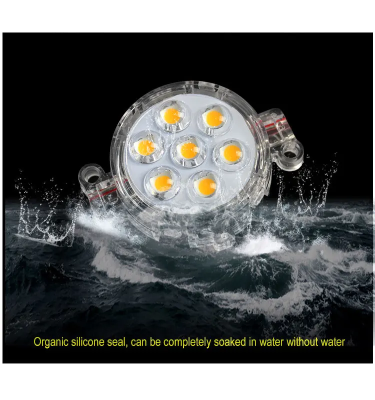 led amusement light